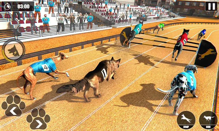 Bí Quyết Thắng Lớn Game Nhanh Đua Chó Tại Fun88 Cho Người Mới